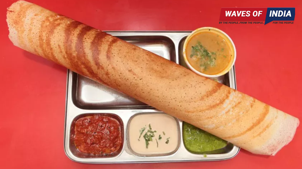 अन्ना की डोसा वैरायटीज़ ज़ायके से हैं भरपूर, पीतमपुरा में 'डोसा कॉर्नर' पर लें स्वाद, VIDEO भी देखें