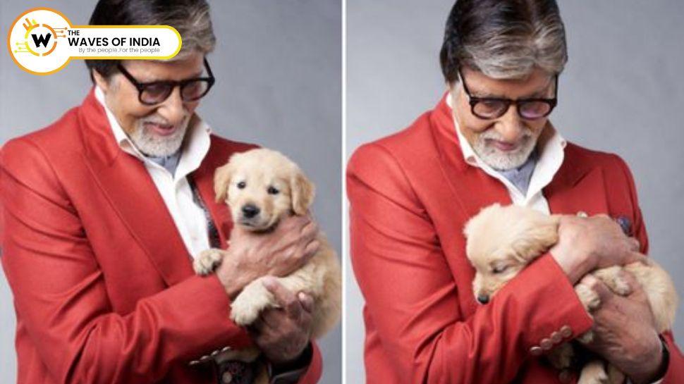 अमिताभ बच्चन के प्यारे डॉगी का निधन, बिग बी ने सोशल मीडिया पर लिखा इमोशनल पोस्ट!